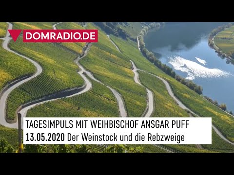Die Verbindung zu Jesus nicht abreißen lassen – Impuls von Weihbischof Ansgar am 13.05.2020