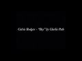 Calvin Rodgers -  