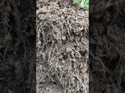 Feldrundgang 08.11.2018