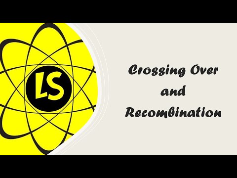 Crossing Over and Recombination