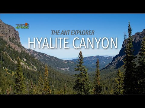 Anting in Hyalite Canyon | The Ant Explorer