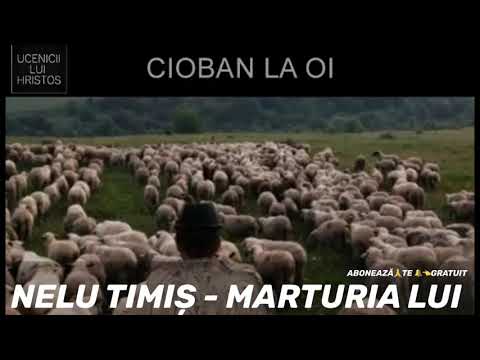 NELU TIMIȘ - MĂRTURIA LUI [ 2020 ]