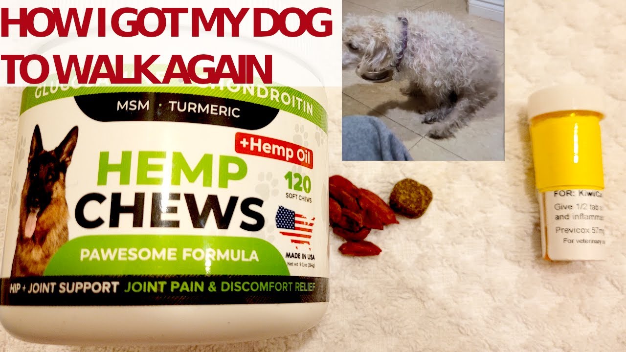 Strellalab hemp treat chew review vs Previcox? how i got my dog to walk again.
