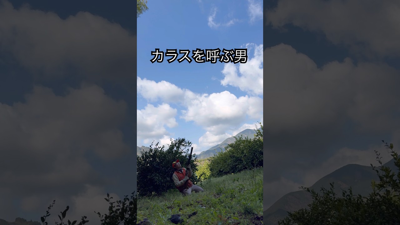 有害鳥獣駆除での裏技！カラスを呼んで撃つ！