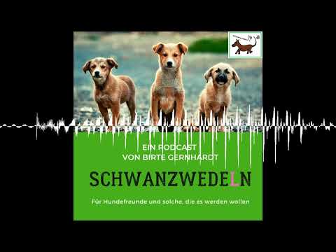 66 Bleibt gesund: Blutegel -Therapie - Schwanzwedeln