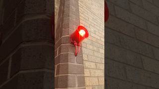 Fire alarm going off! 🔥🔊 (Hochiki)