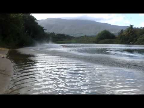 Aeromarine Titan 29" Brushless