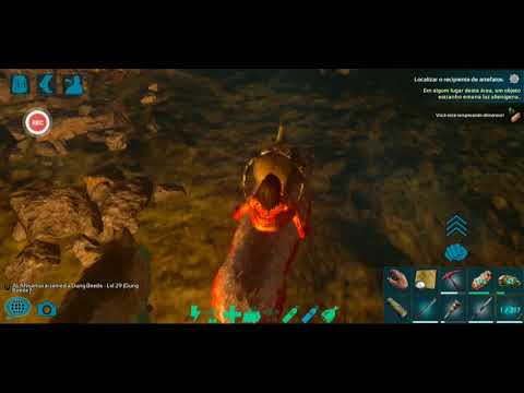 fizemos a caverna do Sul e domamos um besouro