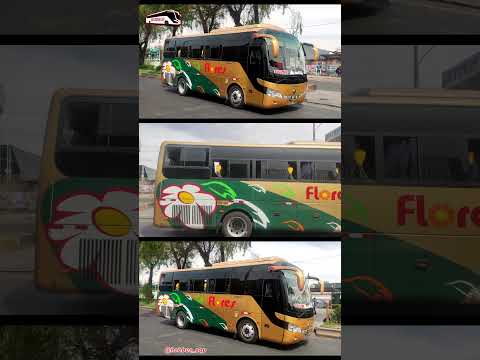 Flores Hermanos | Doradito | Yutong | T5 EP07 #busologia #yutong #arequipa #camana #ilo
