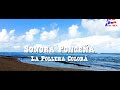 Sonora Ponceña - La Pollera Colorá (Visualizador Oficial de la Serie Raíces)