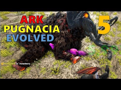 [5] GOING ON A TAMING SPREE (ARK Pugnacia Evolved)