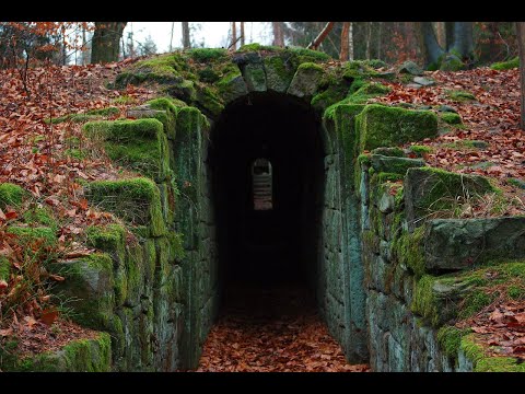 🎠Lord Bruizzy Talobreezy Trampolim - Chely News 🎧NonCopyRight🎶Hip-HopRap & Trap & Funk & LoFi Music‼