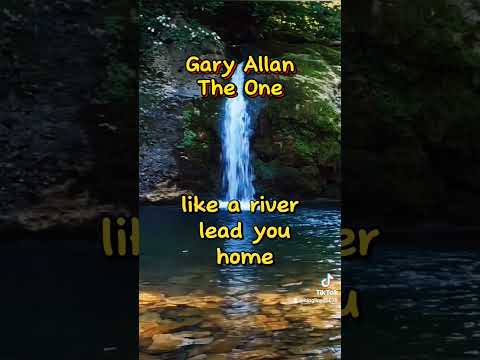 The One (ver. 2) - Gary Allan