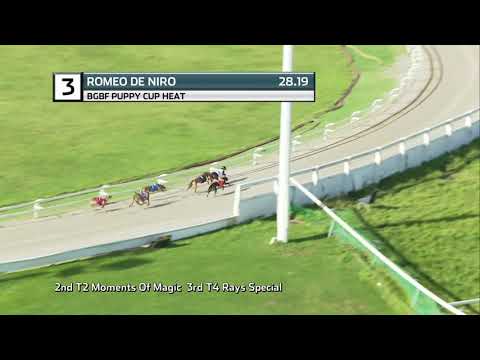2021 BGBF PUPPY CUP - HEAT 3 - T3 ROMEO DE NIRO