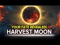 Full Moon September 17th - Harvest Moon 2024 Predictions - Your Fate Revealed!