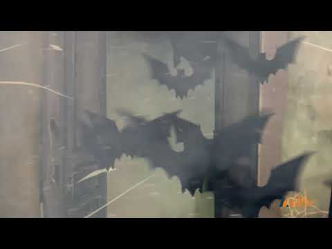 Halloween Animation Video - Viral Marketing Hub