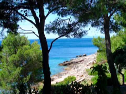 Goran Karan -SAMO MORU VIRUJEN.mov