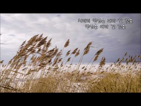 김재성 - 당신따라 갈 것을