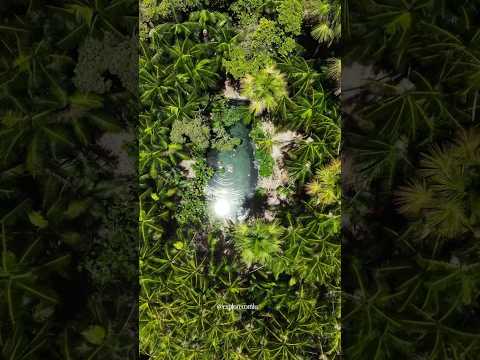 Olho d’Água da Saúde, no Sítio Frecheiras – Cocal/PI - Conhecido também como Jalapão Piauiense