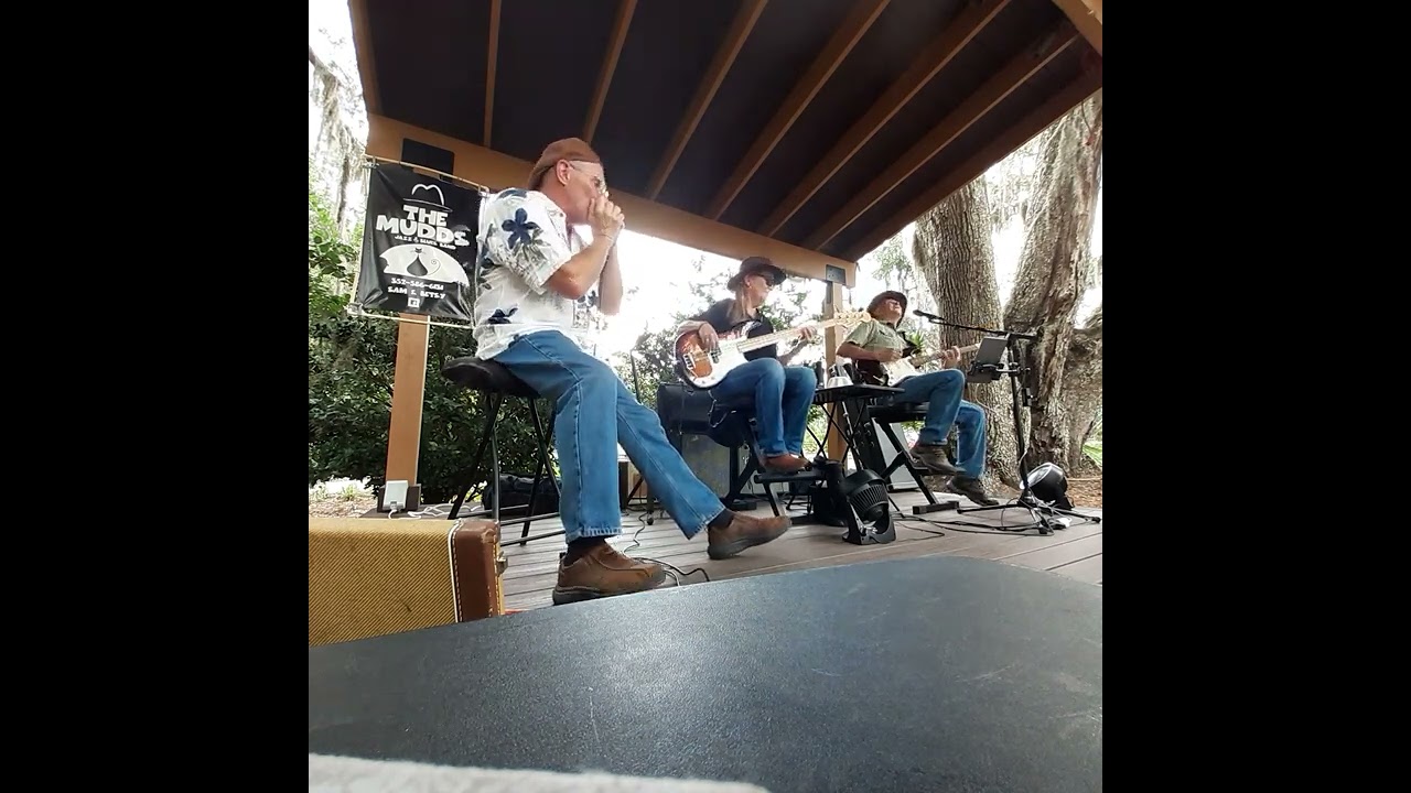 Promotional video thumbnail 1 for The Mudds Jazz & Blues Band