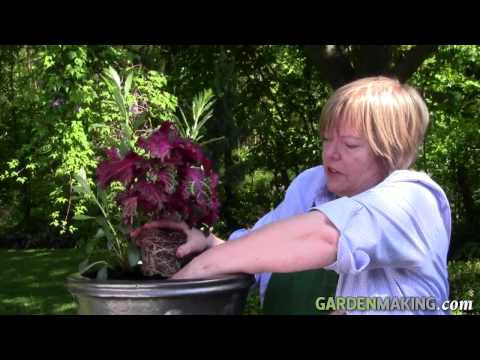 download lagu mp3 mp4 Plant And Garden Magazine, download lagu Plant And Garden Magazine gratis, unduh video klip Plant And Garden Magazine