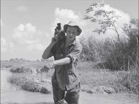 Pierre Schoendoerffer - A Voix Nue