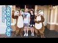 Disneyland Chip And Dale