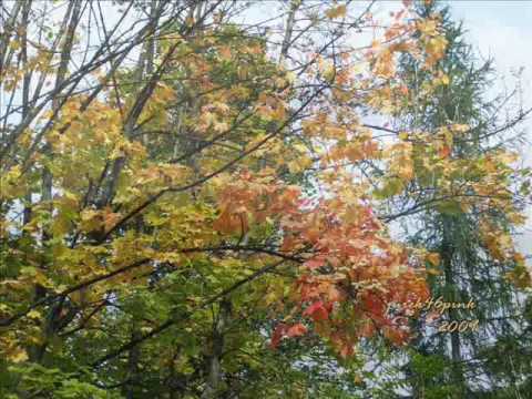 Stare polskie tango x 2 (56-57): "Jesień" - "Zapomniana piosenka", Tadeusz Miller, 1946-47 !