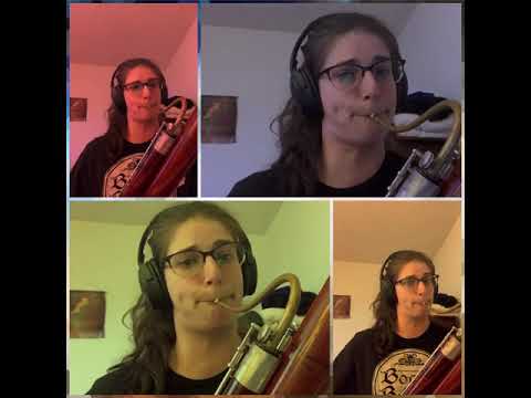 Liz Rosa - That’s What Friends are For (The Vulture Song) for Bassoon Quartet