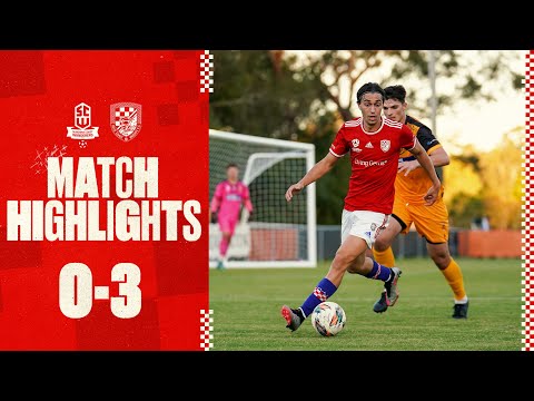 NPL Queensland R16: Sunshine Coast Wanderers v Gold Coast Knights Highlights