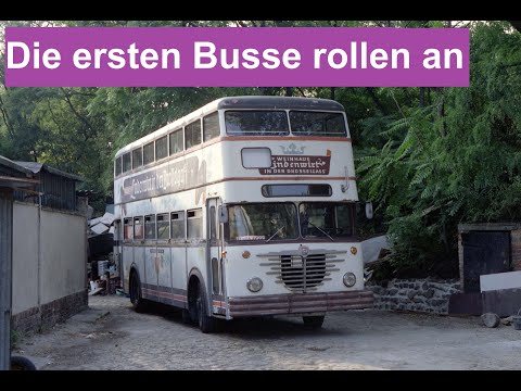 Wie begann es bei Traditionsbus Berlin?  Die ersten Autobusse rollen an