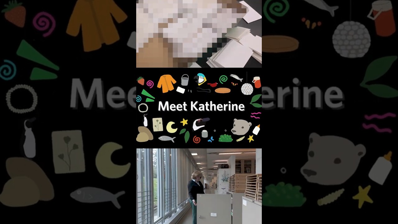 Meet Katherine - Day in the Life of an Academy Volunteer