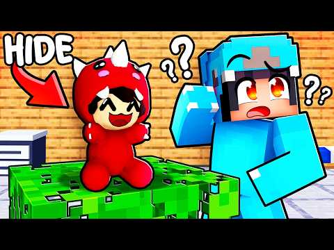 TOYS Hide and Seek in Minecraft!
