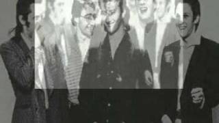 Mental As Anything - 'Spanish Gardener' [1979 track with lyrics]