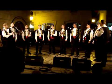klapa dubrava - riči ćaće moga, sudamja 2012
