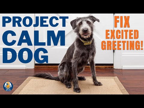 Project Calm Dog: Prevent Over Enthusiastic Greetings #109