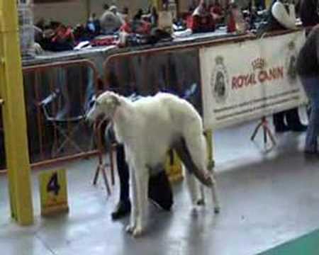 Moeskroen  27-01-2008