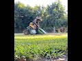 Lawn Mower Prank