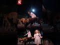 Kiran Rathod Street Dogs க்கு உணவளிக்கும் கிரண்