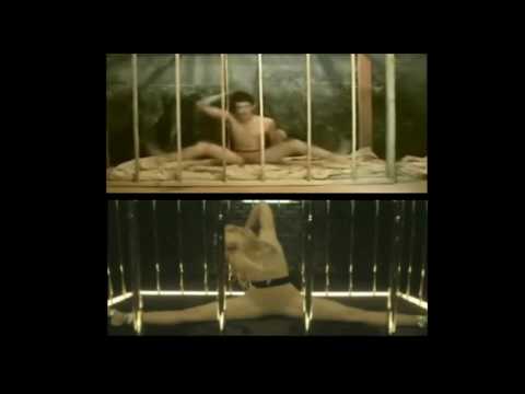 Shakira La loba (She Wolf) - El lobo (He Wolf) Comparacion increible