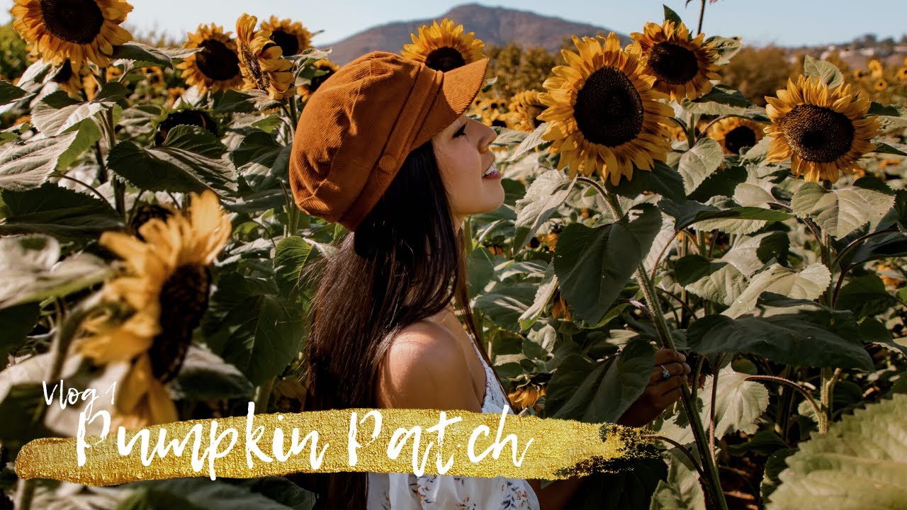 Vlog #1 | Pumpkin Patch