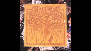 AN ALBATROSS   The Great Sarcophagus