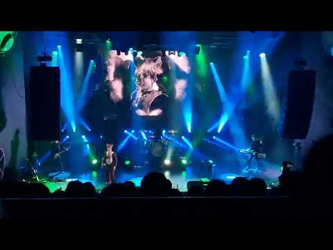 Ylvis Sentrum Scene The Fox