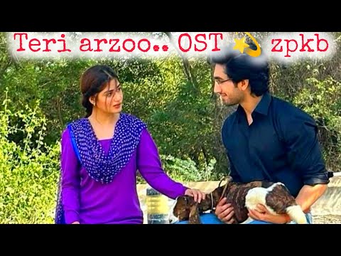 Teri arzoo OST Zard Patton ka Bunn ❣️ Hamza Sohail and sajal Ali