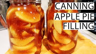 Making and Canning Apple Pie Filling | PLUS Baking The Pie AND A Taste Test!
