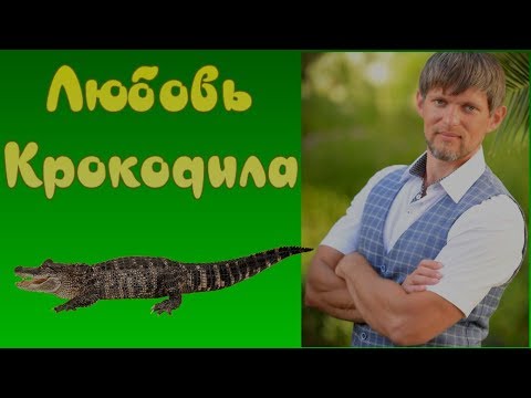 Любовь крокодила