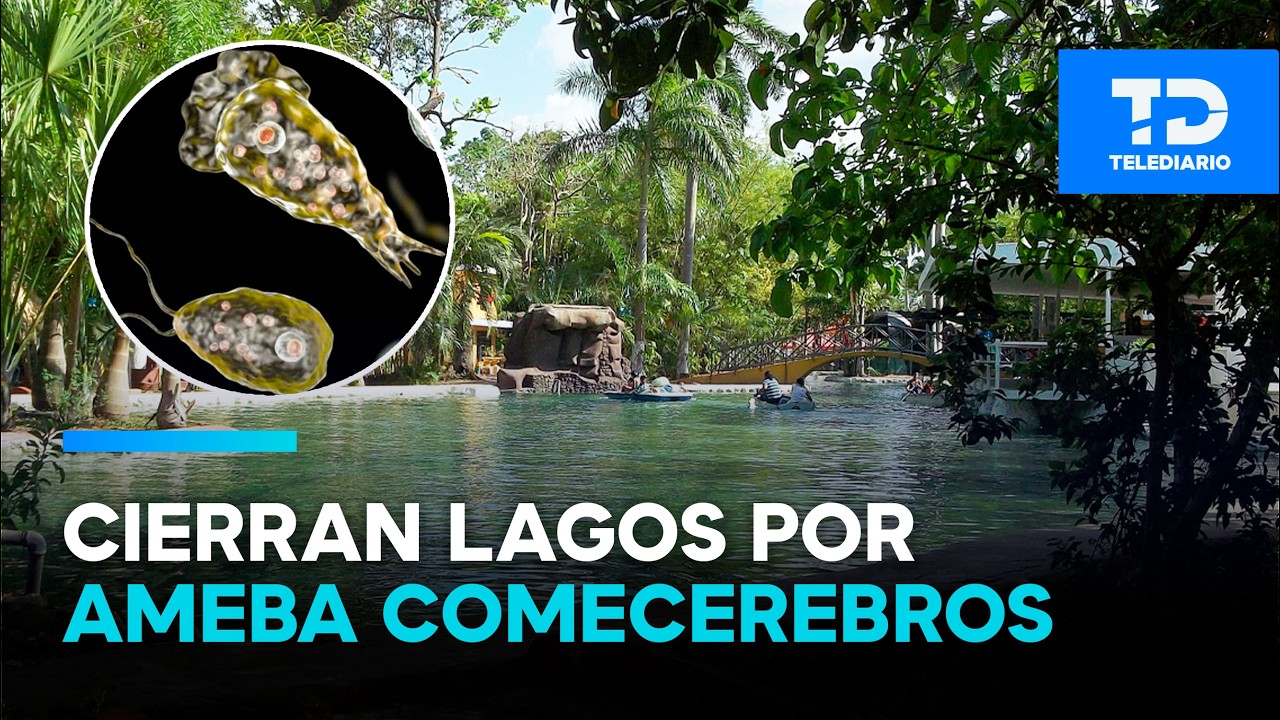 Cierran seis lagos artificiales de Mérida por presencia de ameba 'comercerebros'