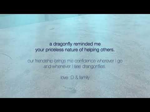 NiCE2 Dragonfly, a thank you and wishes!