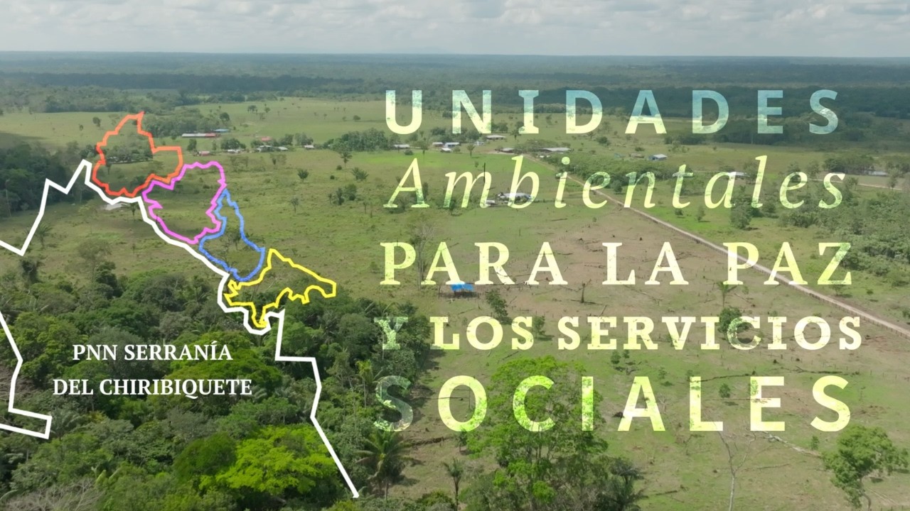 Organización comunitaria para la conservación de la Amazonía