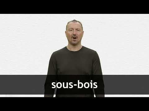 How to pronounce SOUS-BOIS in French